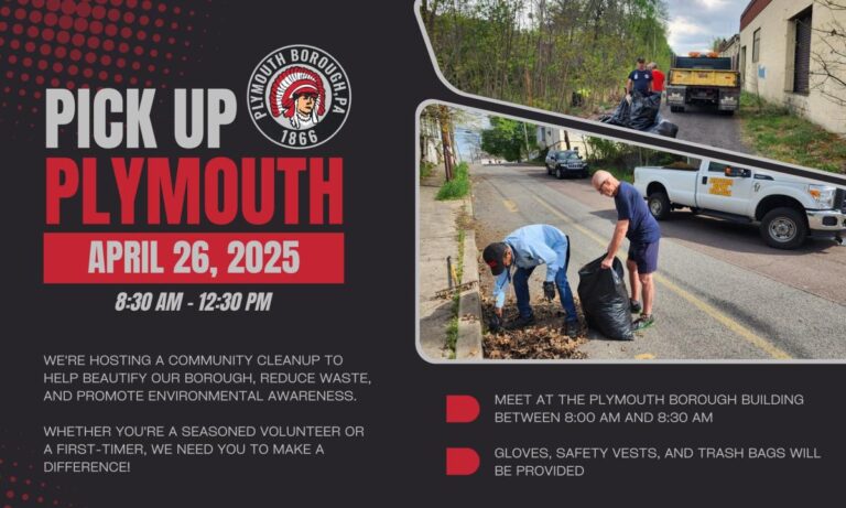 Pick Up Plymouth 2025