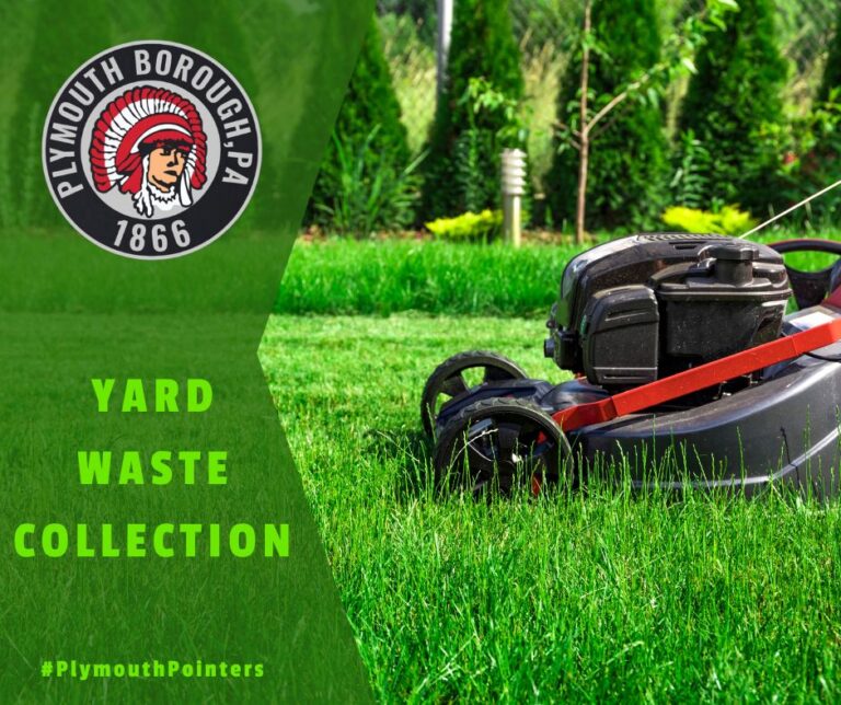 Yard Waste Collection